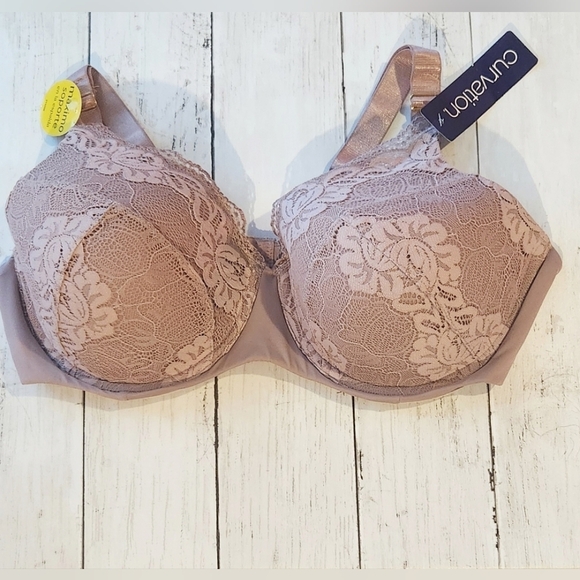 Curvation Lace Lightly Padded Underwire Bra Size 40C BNWT - Picture 1 of 2